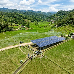 Agricultural Solar Farm